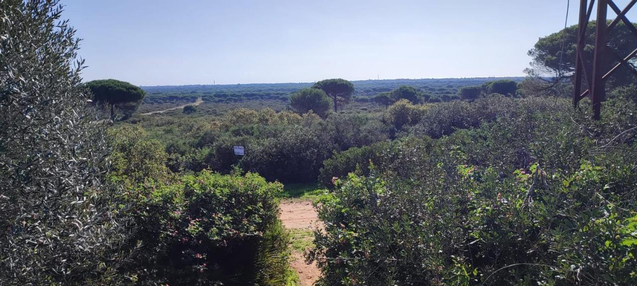 Вілла Casa En Loma Sancti Petri A 900 M De La Playa De La Barrosa Чиклана-де-ла-Фронтера Екстер'єр фото